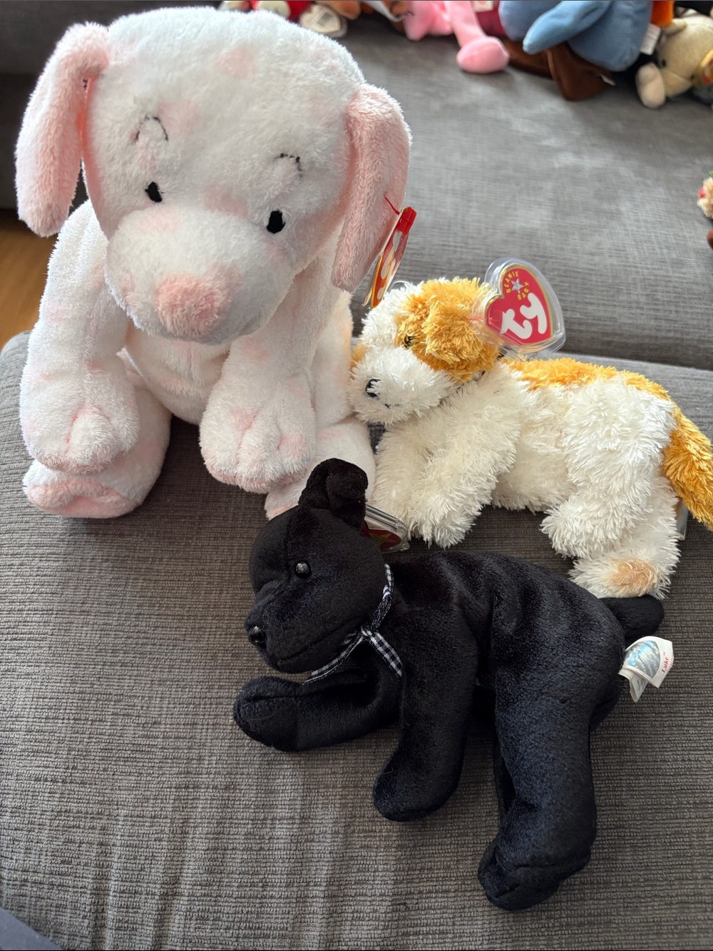 Ty Dog Trio — pluffies lovesy, luke, darling